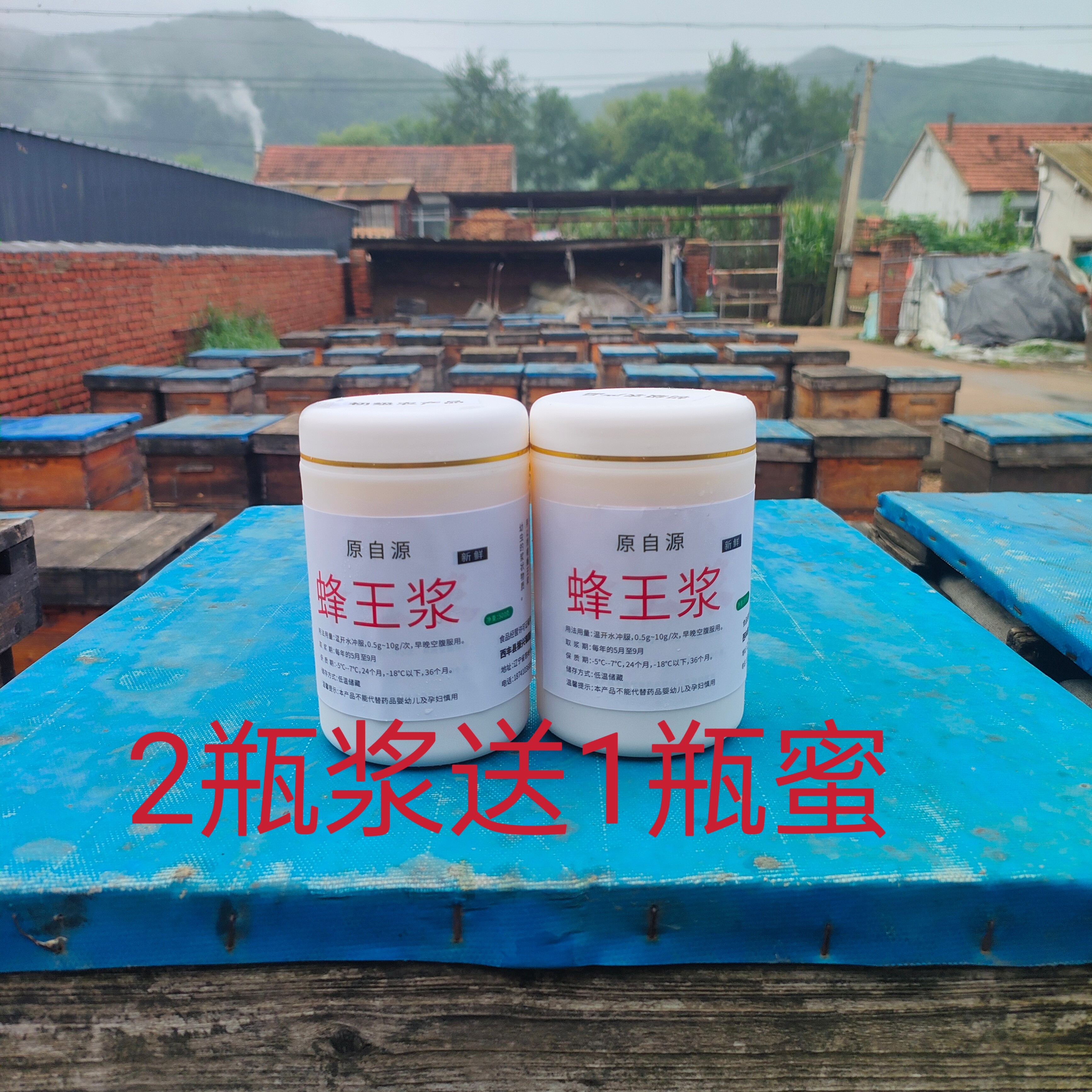蜂王浆蜂皇浆蜂乳农家自产自销纯正新鲜食用原浆椴槐花2026年新浆