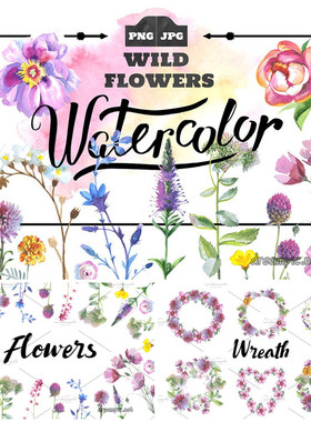 P0499高清PS设计素材 水彩野花插画印花logo花环背景PNG格式