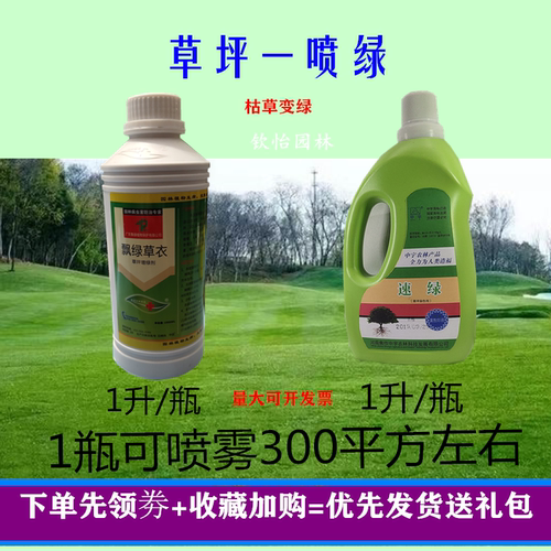 草坪染色剂着色剂秒绿飘绿速绿