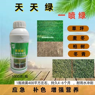 麦冬草坪绿篱天天绿枯黄一喷绿速绿着色剂增绿剂工程应急复绿促销