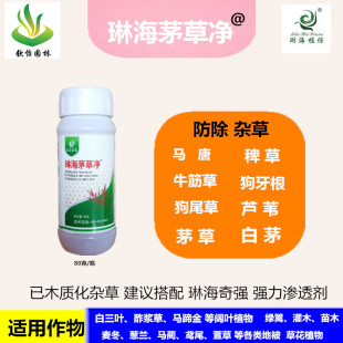 琳海植保茅草净绿篱苗木阔叶植物防除尖叶杂草烂根茅草除草剂新款