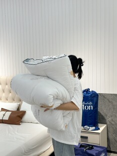 厂家米契尔希尔顿五星级酒店羽绒被双人加厚保暖冬被芯羽丝绒秋冬