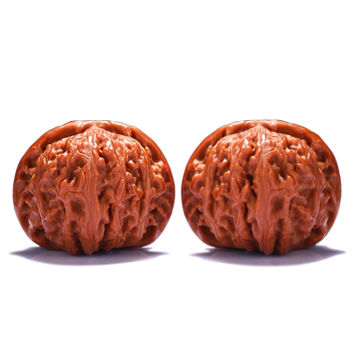 闷尖白狮子头文玩核桃收藏价值高