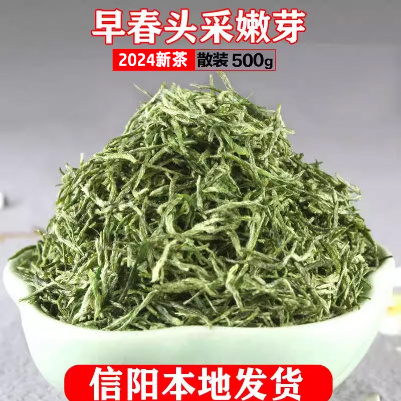 信阳毛尖2026新茶清明前纯小嫩芽早春头采茶叶高山栗香小芽尖500g