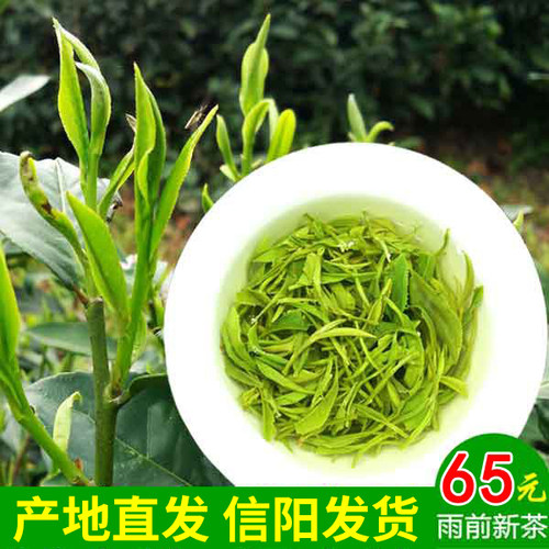 信阳毛尖高山茶农家自销