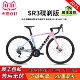 CAMP坎普 SR3油碟刹自行车碳纤维前叉单车内走线铝合金变速公路车