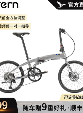 燕鸥tern VergeD9折叠自行车可上地铁放后备箱折叠自行车便携小布