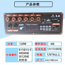 DSP蓝牙单声道功放板户外音箱改装组装主板配件带话筒优先12V主板