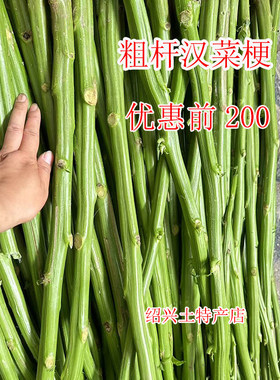 绍兴新鲜苋菜梗现砍  浙江农家汉菜梗  绍兴臭豆腐卤水原料