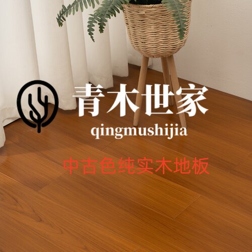 青木世家圆盘豆非洲室内奶油色