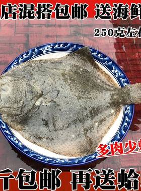 多宝鱼新鲜比目鱼鲜活多宝鱼菱鲆鱼花岗石斑鱼野生海鱼连云港水产