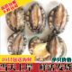 鲜活鲍鱼活鲍鱼新鲜大鲍鱼小鲍鱼九孔鲍鱼冰鲜冷冻鲍鱼海鲜水产