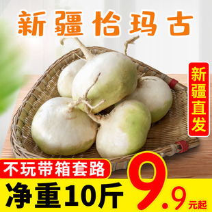 2025年新挖恰玛古10斤新疆柯坪县新鲜强碱性蔬菜调节酸碱平衡包邮