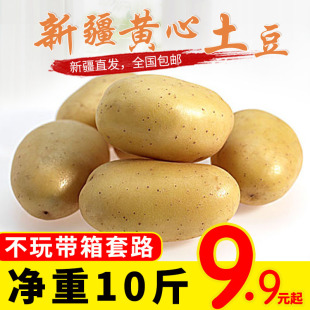 新疆黄心土豆10斤新鲜黄皮非云南红皮土豆马铃薯洋芋全国 包邮