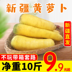 新疆黄胡萝卜10斤装抓饭专用黄萝卜宝宝辅食新鲜当季蔬菜产地直发