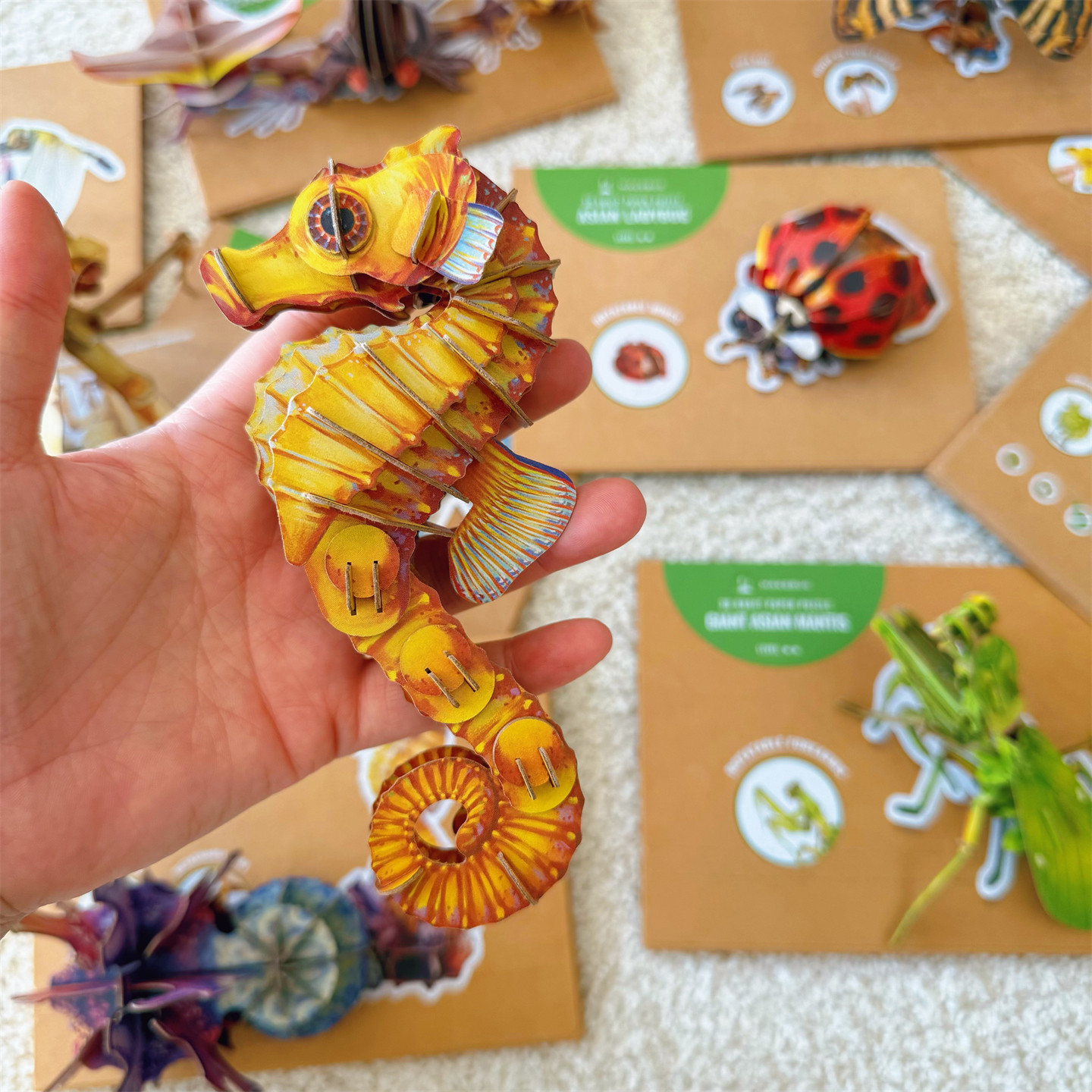 出口单~3D立体模型拼图插摆件收藏昆虫益智手工玩具小学分享礼物,玩具/童车/益智/积木/模型,拼图/拼板,淘宝优惠券,粉丝福利购,淘宝优惠卷