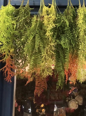 仿真绿植壁挂波斯草蕨类草吊顶墙挂吊兰花绿色植物藤条垂吊装饰