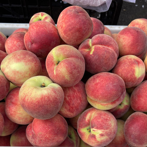 农家现摘水蜜桃桃子精选装