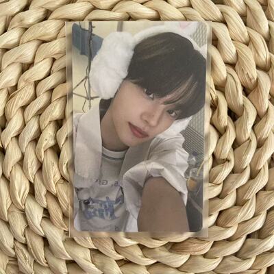 TWS申惟dingo油管特典小卡