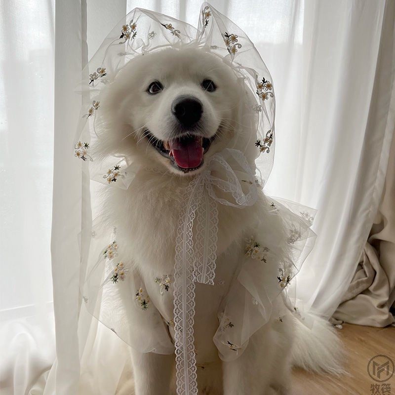 宠物婚礼婚纱连衣裙纱裙夏季薄款金毛边牧萨摩耶哈士奇大型犬衣服