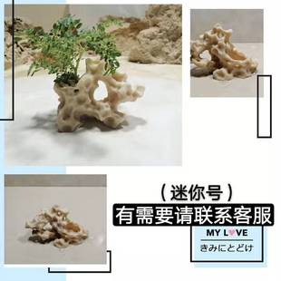 台湾吴定石假山 菖蒲盆 吸水石花盆 摆件石景观赏装饰石盆