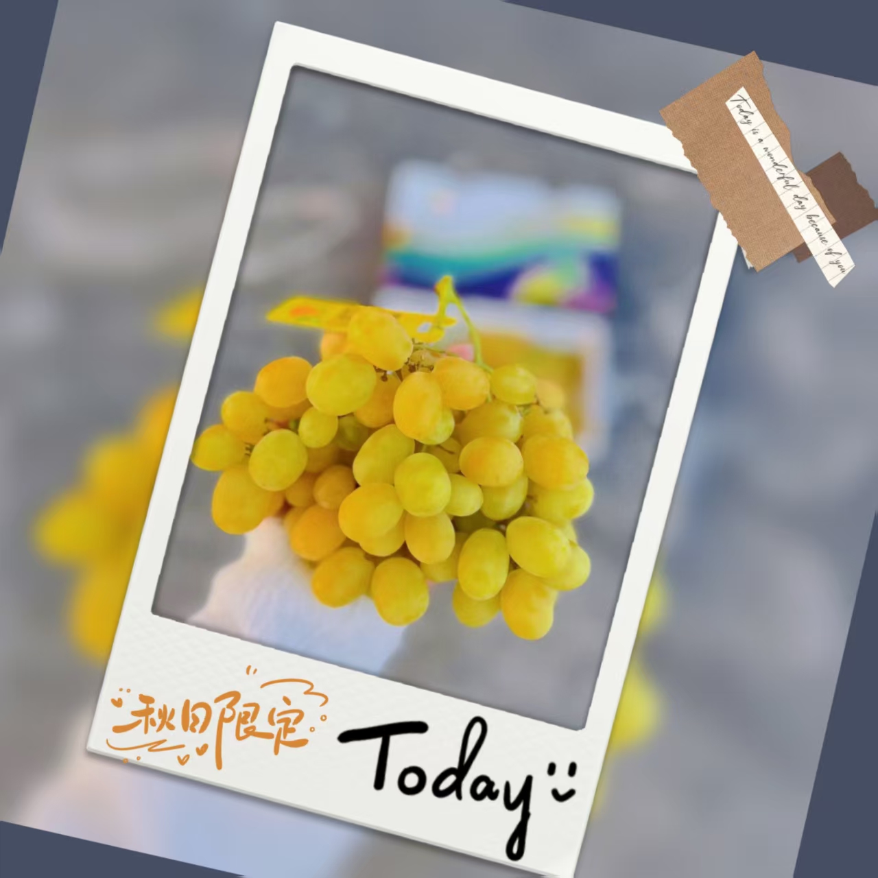 行雨苗木-棉花糖嫁接苗（夏黑砧木）