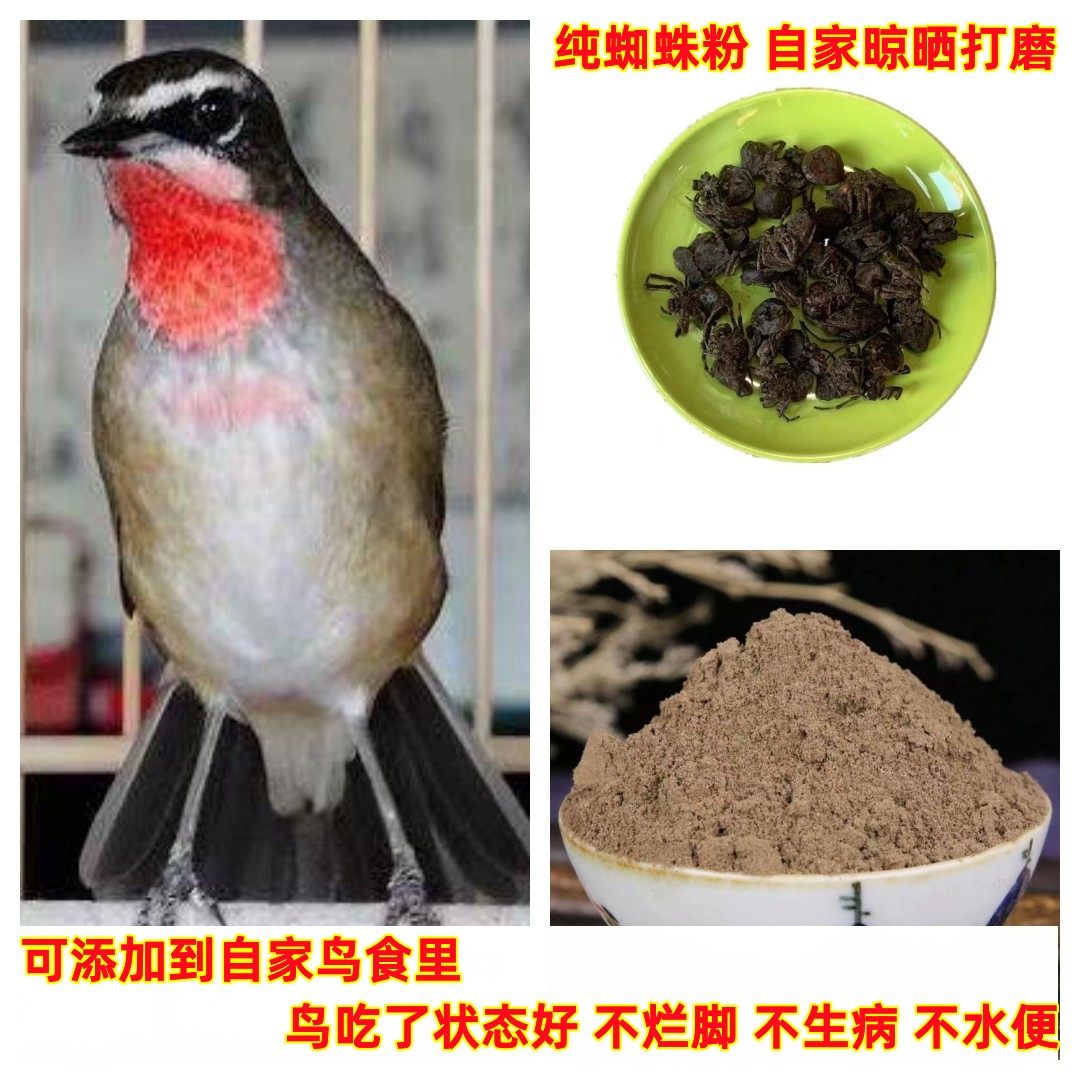 地蜘蛛鸟食自家风干打磨纯蜘蛛粉可以添加靛颏柳莺红子呗贝子秀眼