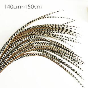 全新加长京戏翎子羽毛戏曲头饰俏花旦仿野鸡山鸡毛鸡尾翎子