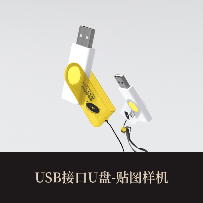 高端提案展示PSDUSB接口U盘VI样机素材模板logo智能贴图