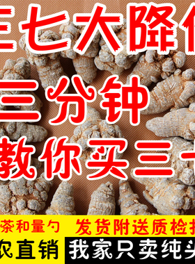 云南文山春三七特级20头30头40头不是野生田七粉正品500g可代磨粉