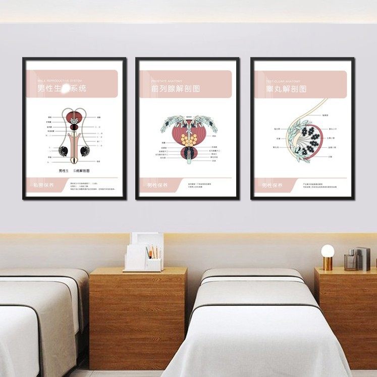 男性艺术风有框私密保养装饰画