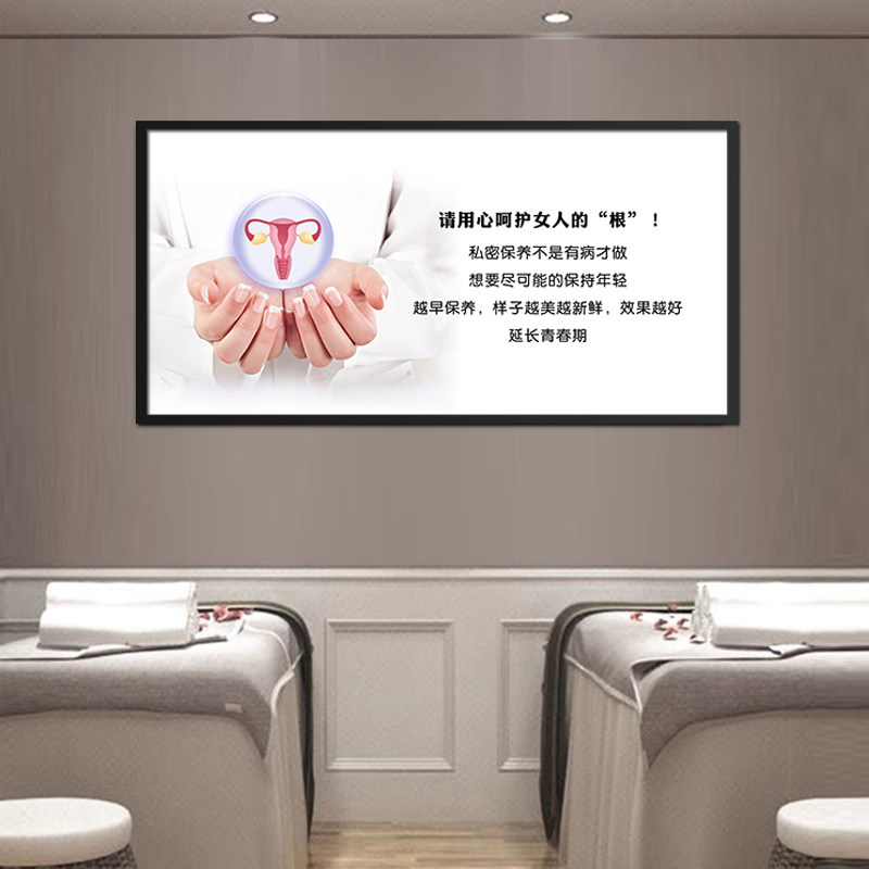 女性私密保养广告挂画 医美整形美容院墙装饰画月子会所产康壁画