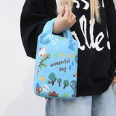 ins同款 11寸ipad平板电脑包收纳包14寸笔记本手提电脑包 卡通小众