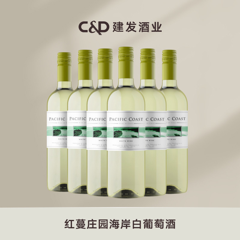 建发酒业 红蔓庄园海岸白长相思葡萄酒整箱 智利VSPT  进口干白