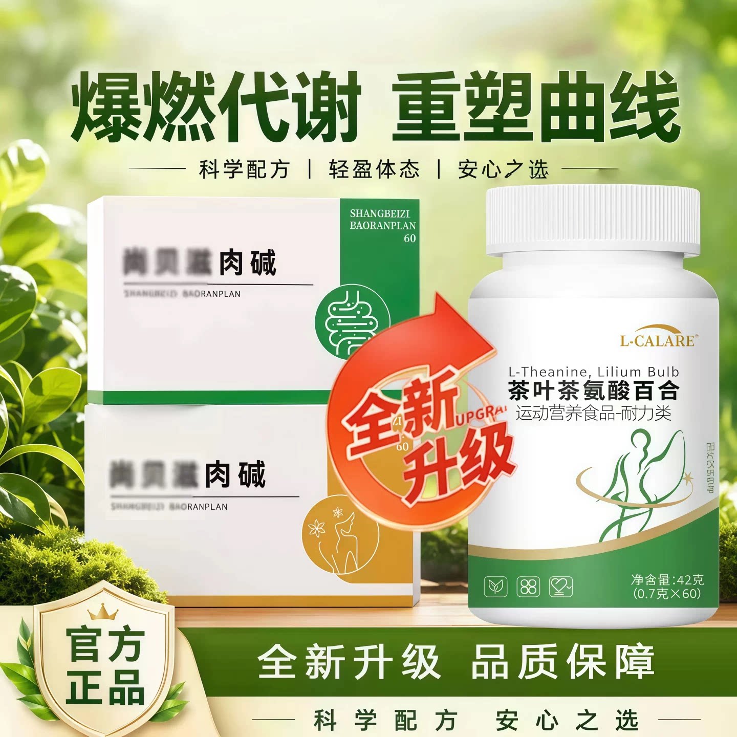 尚貝兹肉碱爆燃片茶氨酸百合纤秀片阻断热量解离糖油塑造曲线正品