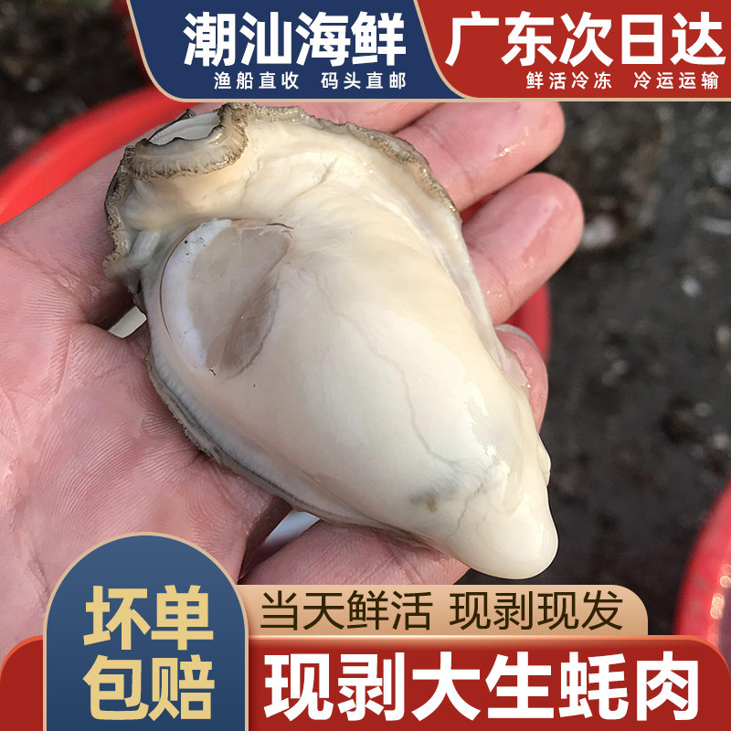 大生蚝肉,一斤约9-12个左右