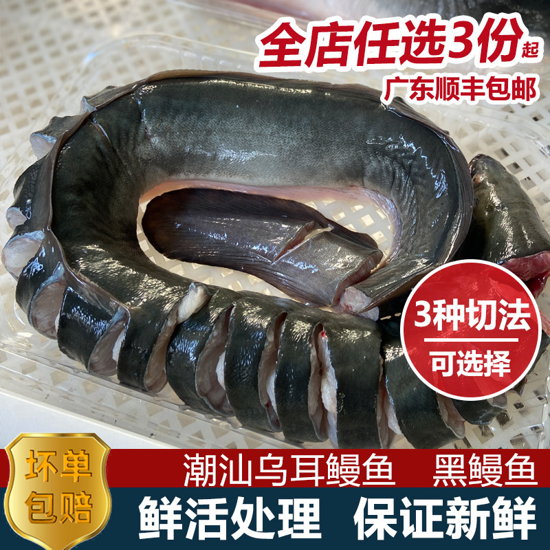 黑鳗鱼海鳗鲜活冷冻海鲜水产烤鳗鱼烧烤食材白鳝鱼新鲜潮汕乌耳鳗怎么看?