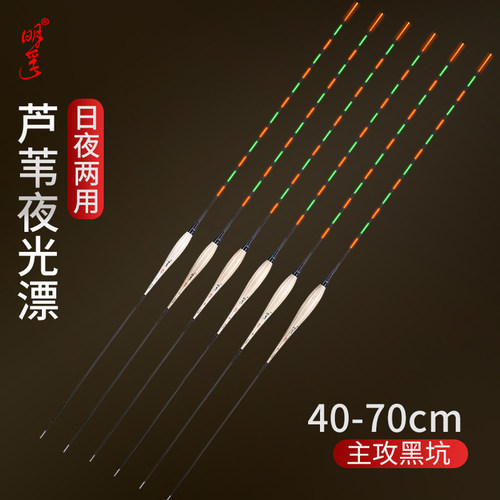 明孚芦苇夜光鱼漂加长黑坑电子漂
