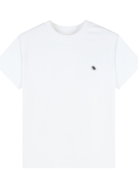 春季时尚圆领T恤垂坠质感日常通勤小标装饰短袖上衣HBZW918698