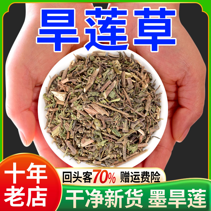 旱莲草中药材500克墨旱莲女贞子