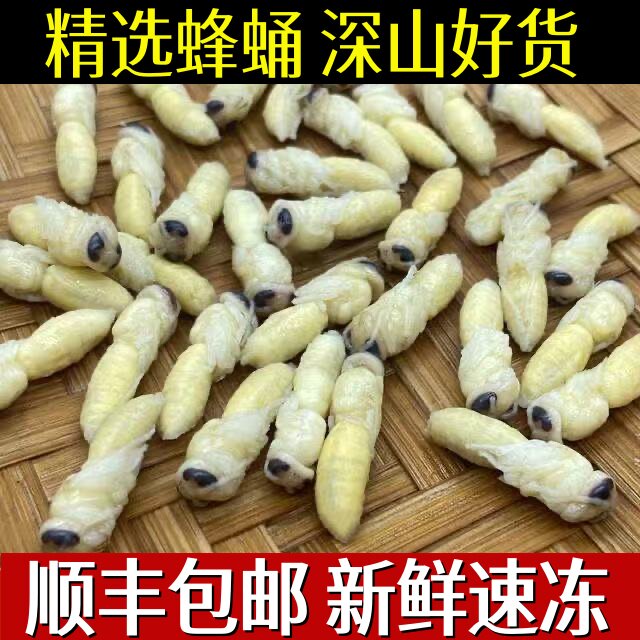 云南特产野生蜂蛹鲜新冷冻马蜂葫芦蜂拥幼蜂油炸烧烤500g顺丰包邮