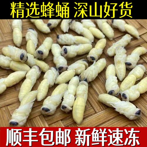 云南特产野生蜂蛹鲜新冷冻马蜂葫芦蜂拥幼蜂油炸烧烤500g顺丰包邮
