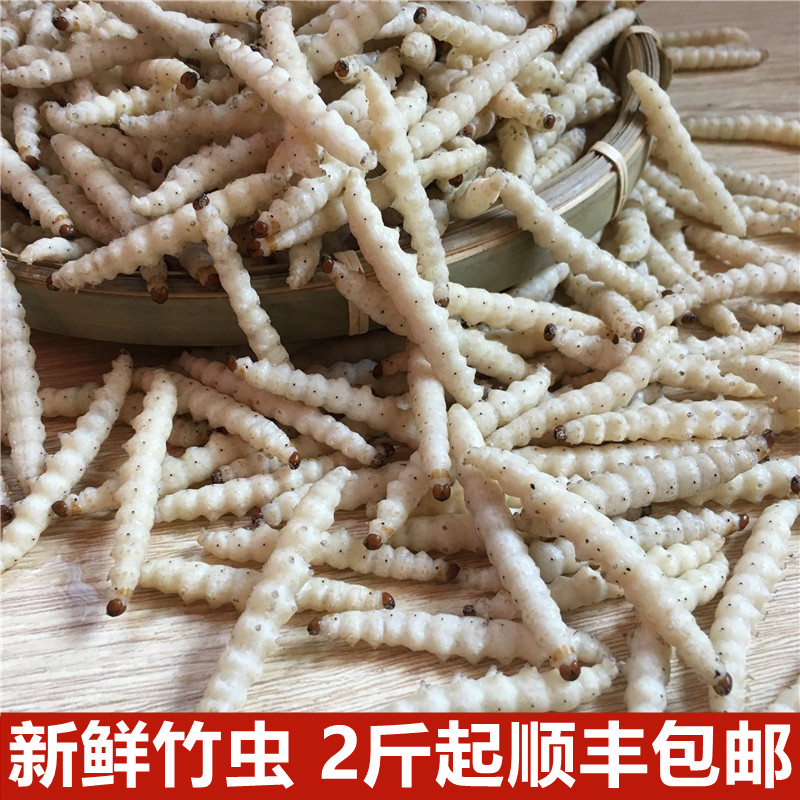 竹虫野生云南特产鲜新速冻冰冻竹蛹笋虫满3斤顺丰包邮500g