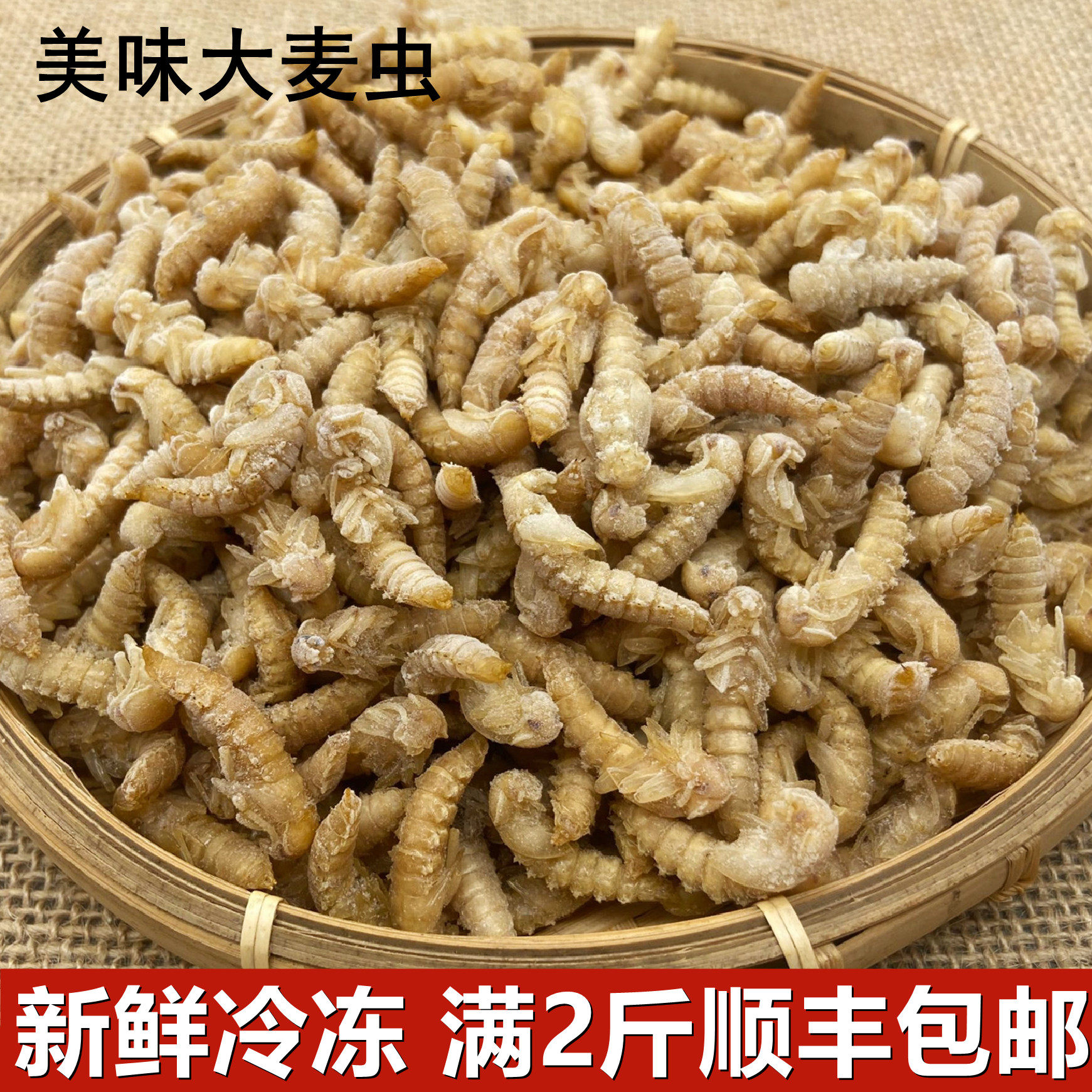 新鲜冷冻金粉虫蛹大麦虫蛹高蛋白黄金蛹昆虫油炸美食云南特产