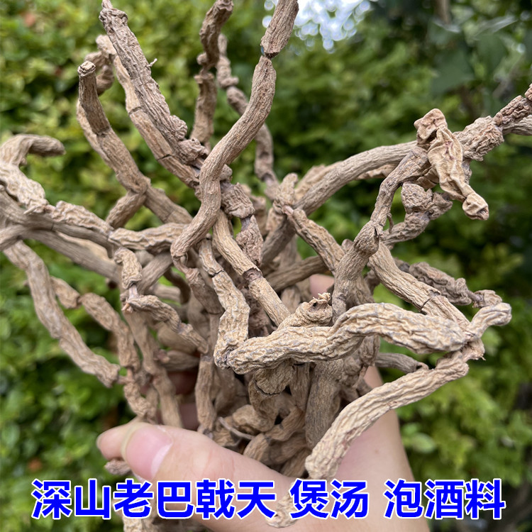 广东纯野生巴戟天干货泡酒煲汤药材正宗鸡肠风带芯搭配杜仲250g