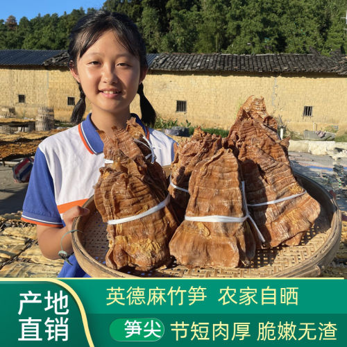 广东新鲜竹笋干货农家自制2025年嫩笋尖笋片纯天然冬笋干散装500g