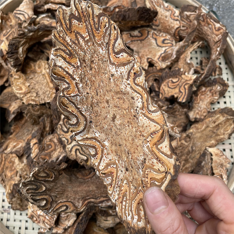 龍骨風(fēng)飛天擒羅干貨大貫眾山卡撈勞煲湯泡酒中藥材散裝500克