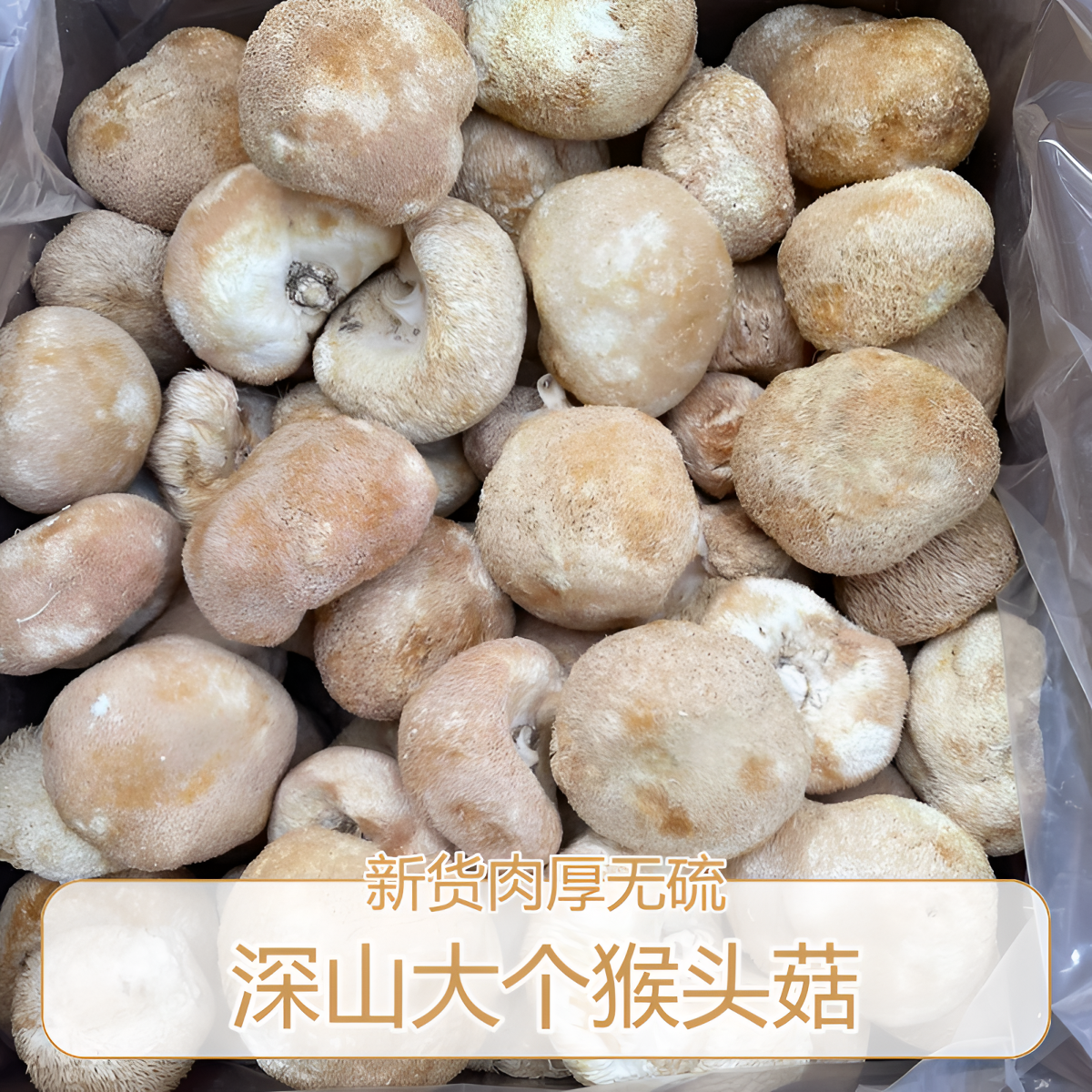 新货猴头菇大个肉厚无硫深山蘑菇食用菌菇干货煲汤养胃天然农产品,粮油调味/速食/干货/烘焙,猴头菇,淘宝优惠券,粉丝福利购,淘宝优惠卷