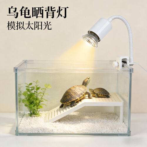 妙居宠物背灯灯灯加热灯缸取暖UVA灯龟晒乌龟保暖爬补钙夹灯宠灯