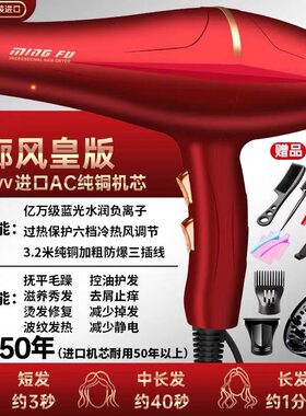 电吹风机发廊大功率5000理发店专用9000家用3000负离子护发静音W